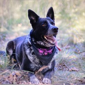 Meet your Posher, Danika